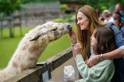 Tierpark